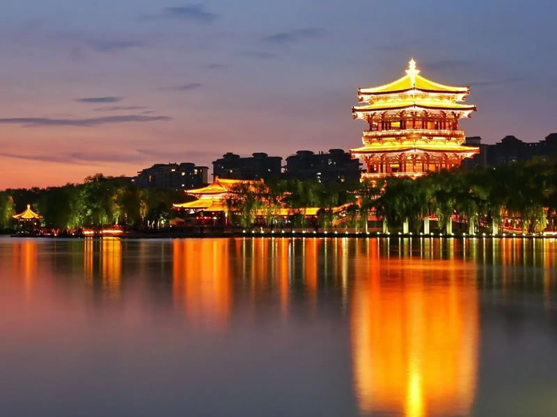 主题和兴趣介绍